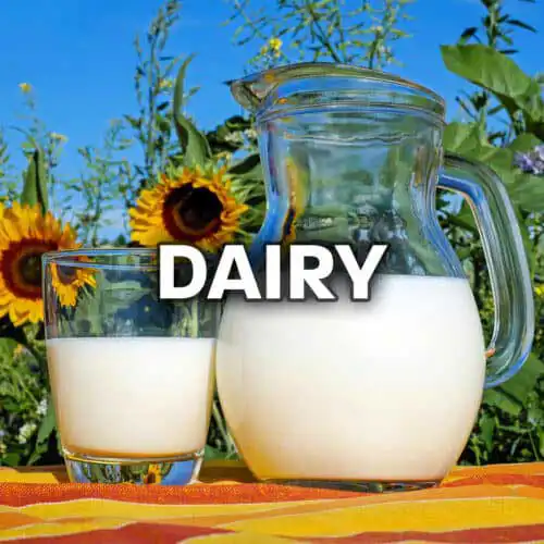 Dairy Dairy industry Stainless Steel Tanks Quality Tank Solutions